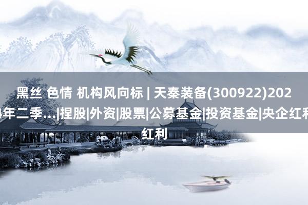 黑丝 色情 机构风向标 | 天秦装备(300922)2024年二季...|捏股|外资|股票|公募基金|投资基金|央企红利