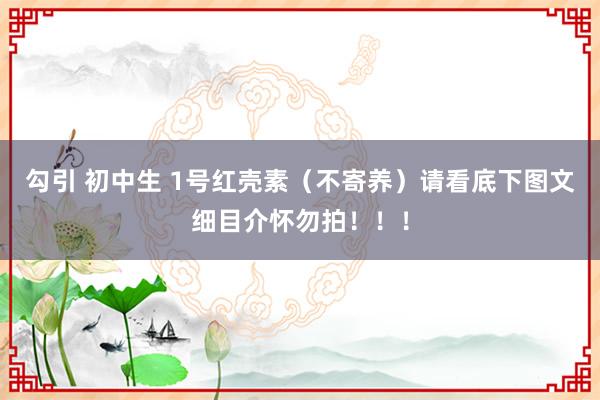 勾引 初中生 1号红壳素(不寄养)请看底下图文细目介怀勿拍!!!