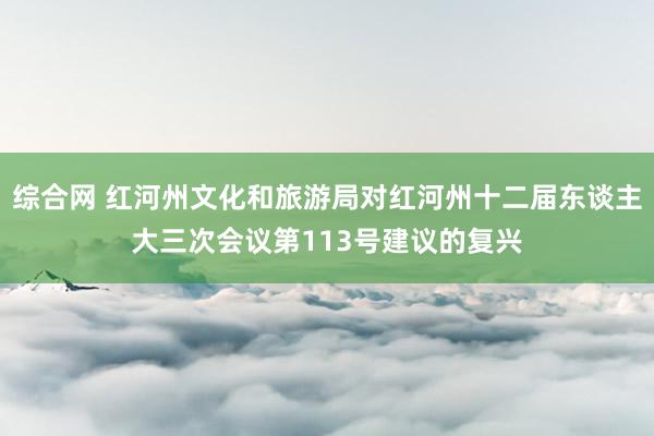 综合网 红河州文化和旅游局对红河州十二届东谈主大三次会议第113号建议的复兴