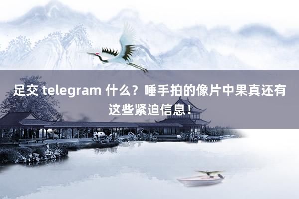 足交 telegram 什么？唾手拍的像片中果真还有这些紧迫信息！