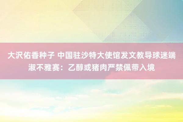 大沢佑香种子 中国驻沙特大使馆发文教导球迷端淑不雅赛：乙醇或猪肉严禁佩带入境