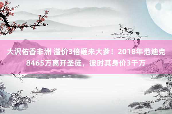 大沢佑香非洲 溢价3倍砸来大爹！2018年范迪克8465万离开圣徒，彼时其身价3千万
