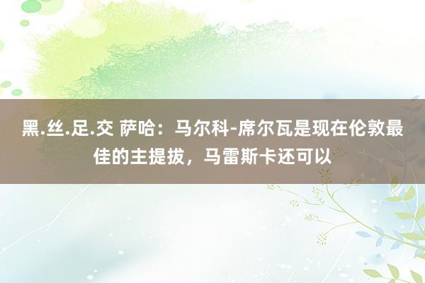 黑.丝.足.交 萨哈：马尔科-席尔瓦是现在伦敦最佳的主提拔，马雷斯卡还可以